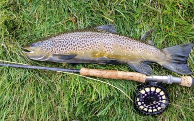 Vestmannsvatn í Reykjadal