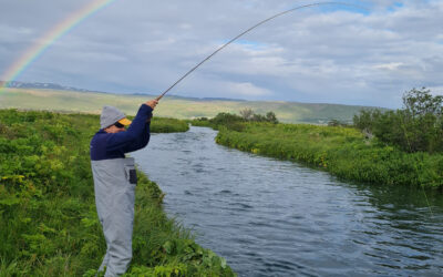 Laxá í Aðaldal – Múlatorfa