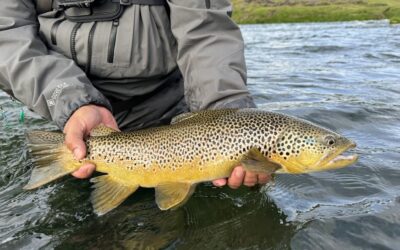 Laxá í Aðaldal – Syðra Fjall