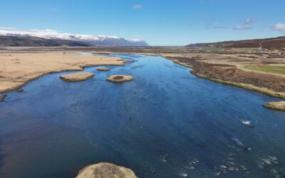 Laxá í Aðaldal – Presthvammur